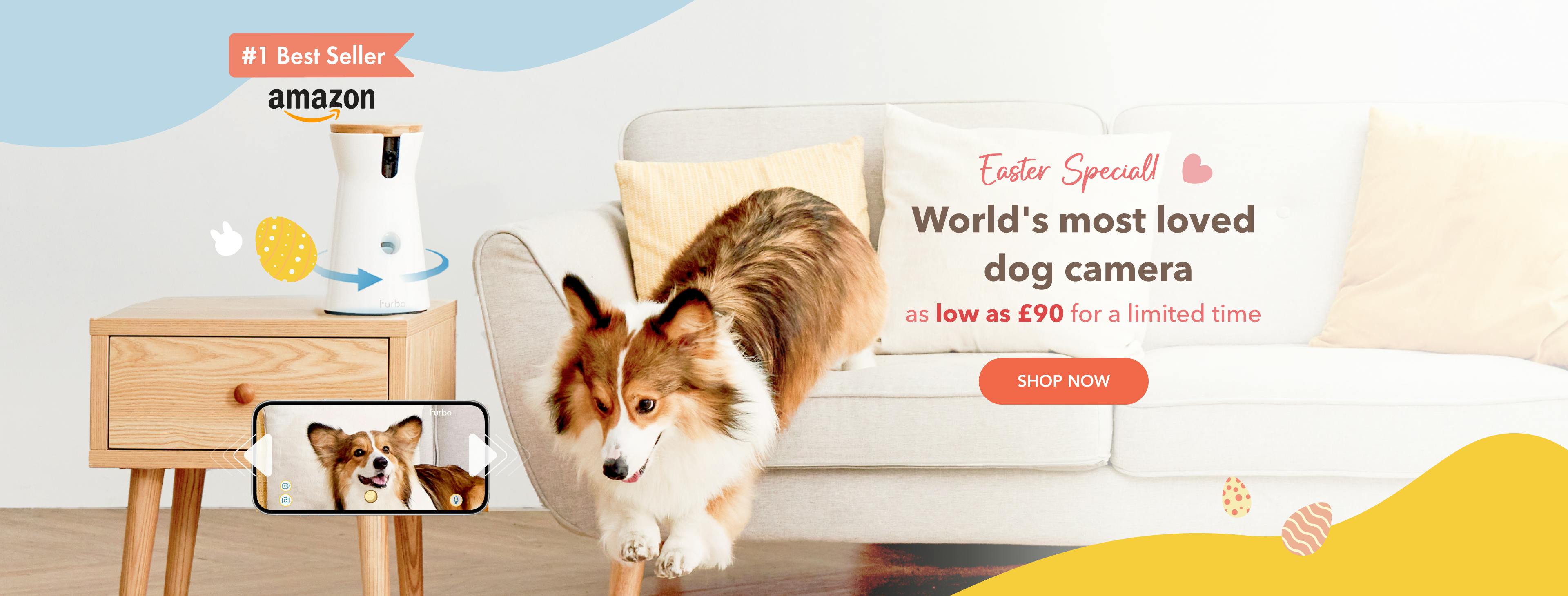 Pet best sale cameras uk